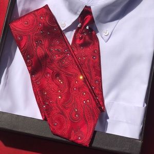 Red Paisley hand crystalized necktie